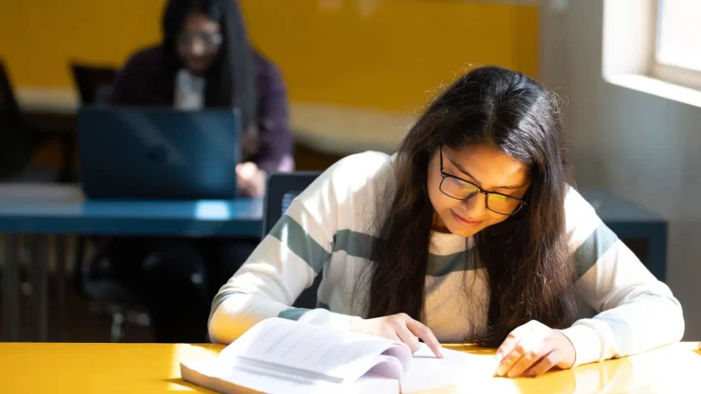 Whisper of the Crimson Dunes